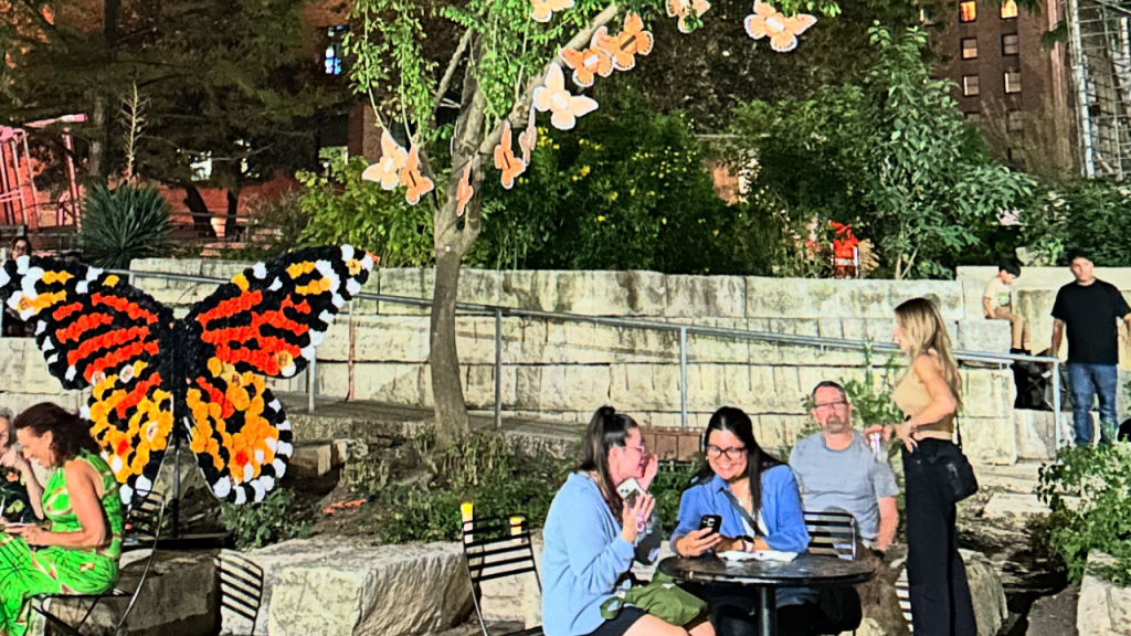 photos from last years mariposas (YouTube Thumbnail)