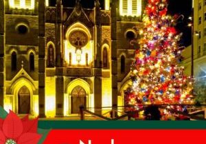 Noche Buena San Antonio Christmas Tree
